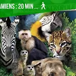 La Jungle Insolite, Spa, Ecran Cinema, Lit A Baldaquin King Size, Day Use, 10 Min Centre